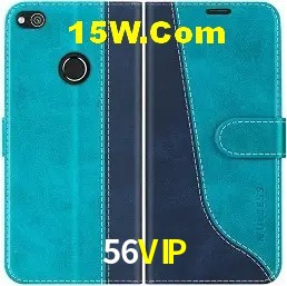 Promoções Sazonais 56VIP
